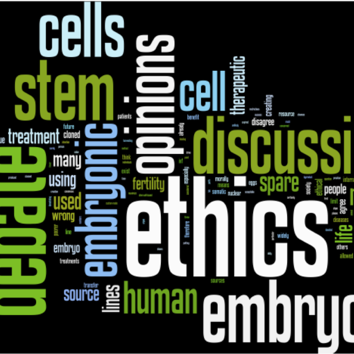 Les cellules souches embryonnaires humaines : origines, questions éthiques et embryons