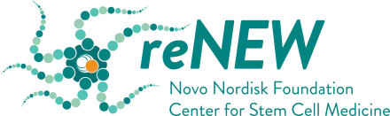 ReNEW Logo
