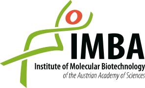 IMBA - Institute of Molecular Biotechnology