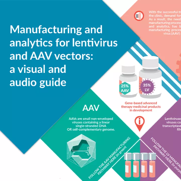 vector manufacturing and analytics