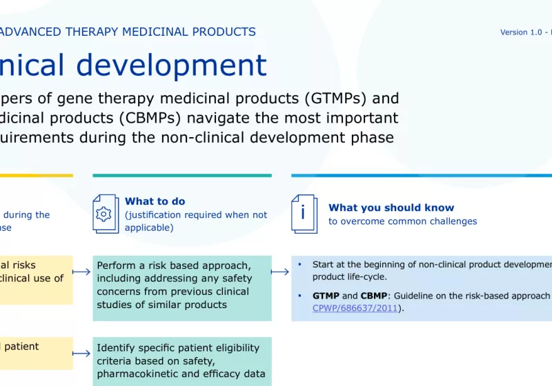 Non-clinical Development Flowchart